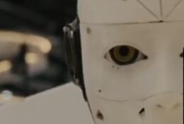 część twarzy robota